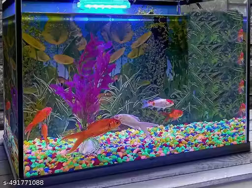 1 Kg Multi Coloured Decorative Stones River Pebbles for Flowerpot, Garden and Aquarium Decoration For Pathway & able Painted Asymmetrical Marble Pebbles (Multicolor 1 kg)