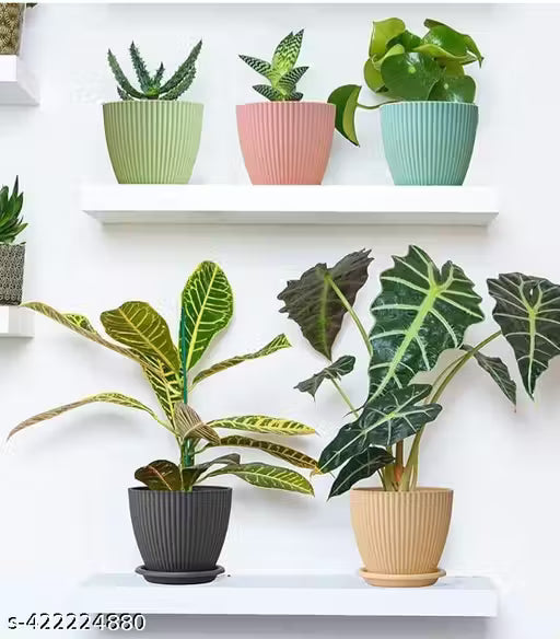 5 PIS COMBO OF Modern  Plastic Round Flower Pots for Home Planters, Terrace, Garden Etc | Pack of 05 | Multicolor | Suitable for Home Indoor & Outdoor Gardening Plants